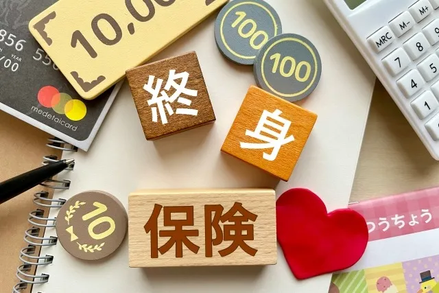 一時払い終身保険の活用法
