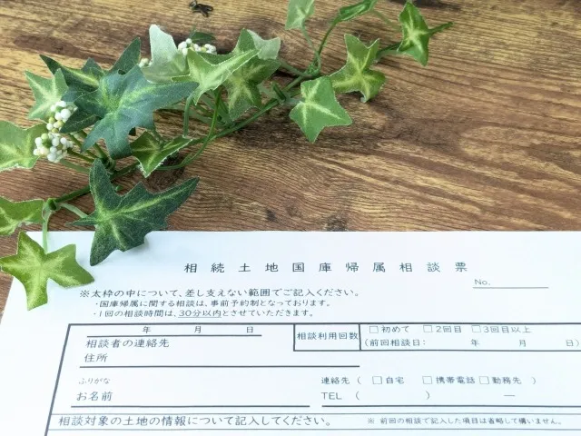 相続土地国庫帰属制度の要件